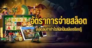 ปก อัตราการจ่ายสล็อต